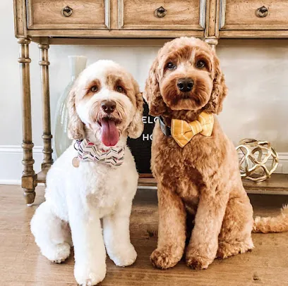 Simply Pawsitive In-home Grooming — photo from their website