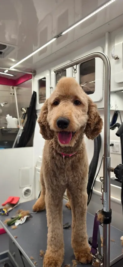 Paw Palace Mobile Grooming — photo from their website