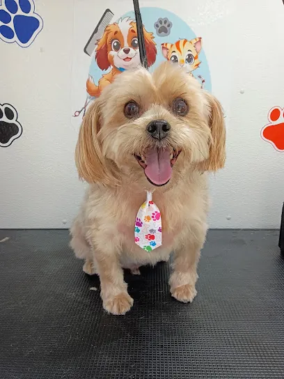 Pet Grooming Doogy Mobile — photo from their website
