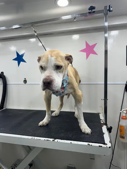 Bonita Mobile Dog Grooming — photo from their website