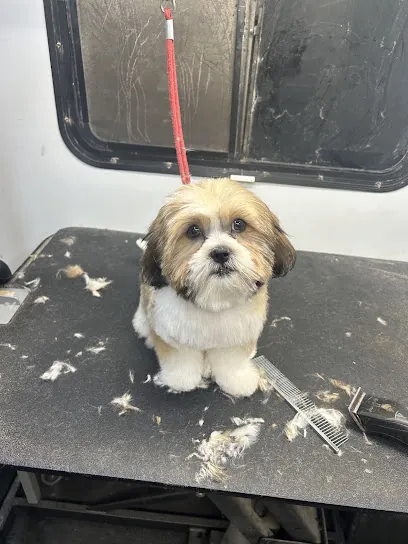 TOP DAWG MPG SERVICES LLC MOBILE PET GROOMING — photo from their website