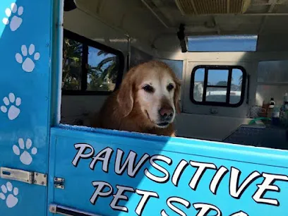 Pawsitive Pet Spa Mobile Dog & Cat Grooming — photo from their website