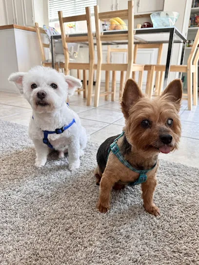 Park & Bark Mobile Grooming Services and Pet Washing — photo from their website