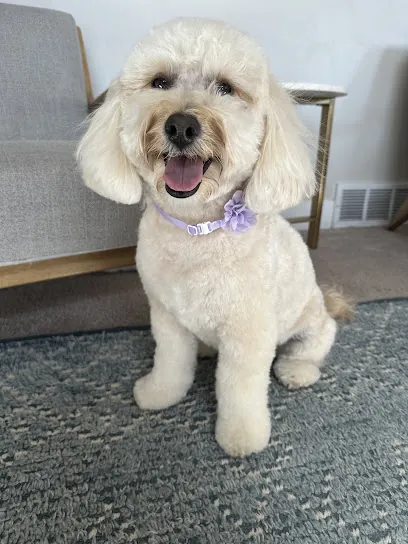SPAW - Mobile Grooming — photo from their website