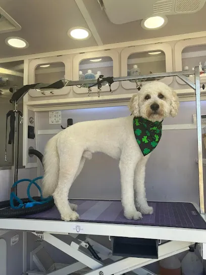 Perfect Paws Mobile Grooming — photo from their website
