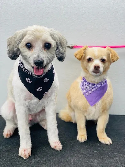 You Dirty Dog PDX Mobile Pet Grooming — photo from their website