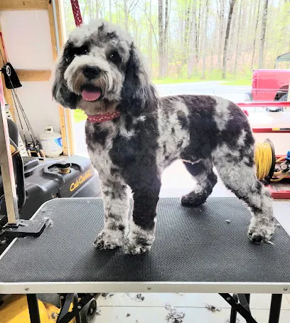 Doggie Styles Housecall Grooming — photo from their website