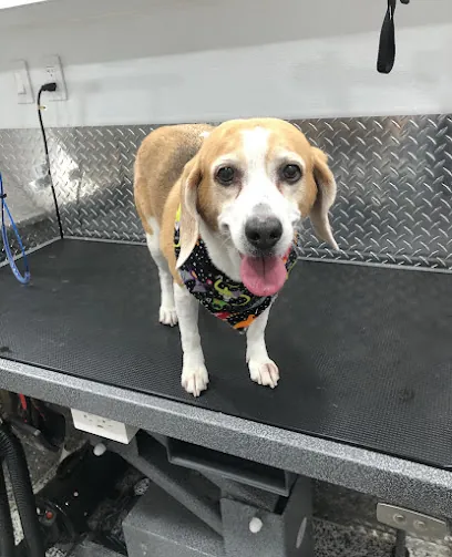 Mobile Pet Grooming Weston — photo from their website