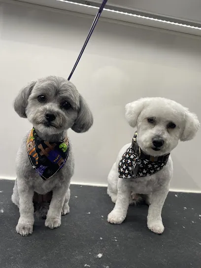 K9 Grooming - Mobile Pet Salon and Spa Los Angeles — business logo from Google