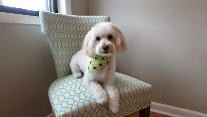 Sit. Stay. Spa. Mobile Dog Grooming — photo from their website