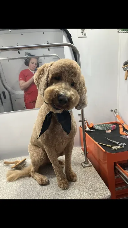 Ruff Riders Mobile Grooming — photo from their website