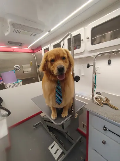 Humanity Over Vanity Mobile Dog Grooming LLC — photo from their website