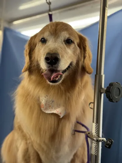 Fur Seasons Mobile Dog Grooming — photo from their website