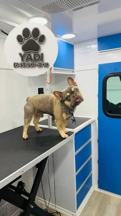 Yadi Mobile Grooming — photo from their website