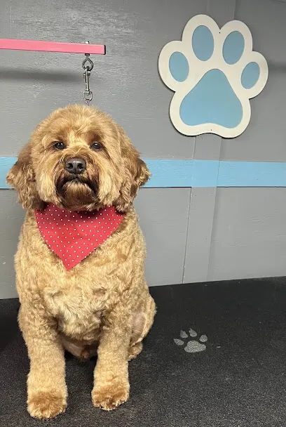 Southpaw Mobile Grooming — photo from their website