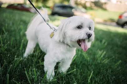 Heartshire Pets In Home Mobile Grooming — photo from their website