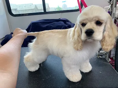 My Buddy Mobile Pet Salon — photo from their website