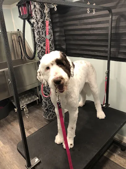 Ruff to Rad Mobile Dog Grooming — photo from their website