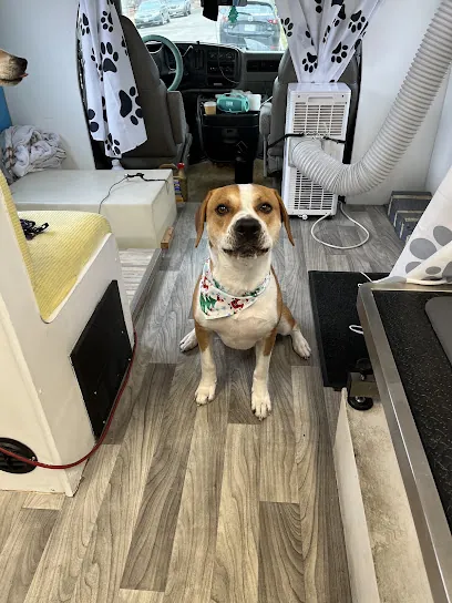 Pearly Paws Mobile Dog Grooming — photo from their website