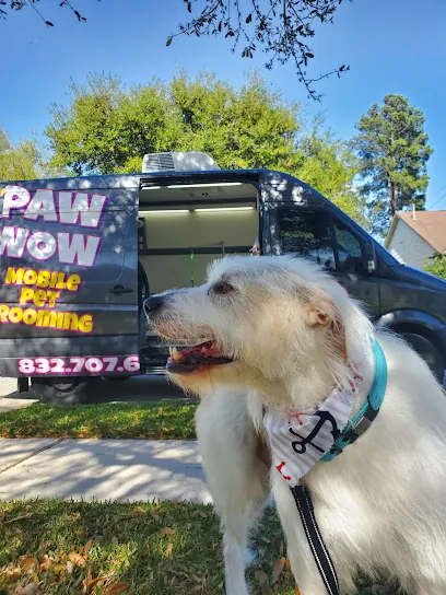 Paw Wow Pet Grooming: Mobile & Salon. — photo from their website
