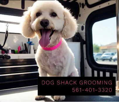 The Dog Shack Mobile Pet Grooming — photo from their website