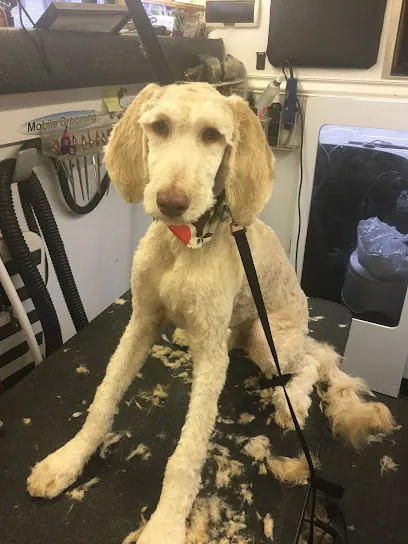 Tailz Mobile Grooming Pet Spa — photo from their website