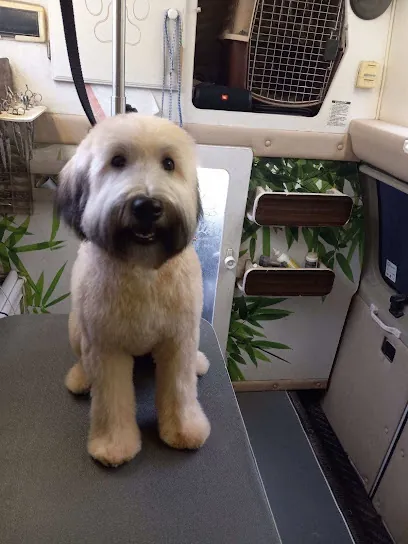 Kawaii Q mobile grooming Houston — photo from their website