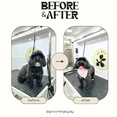 Grooming by Aly — photo from their website