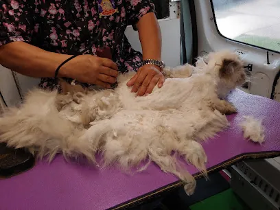 Prada's Mobile Pet Salon — business logo from Google