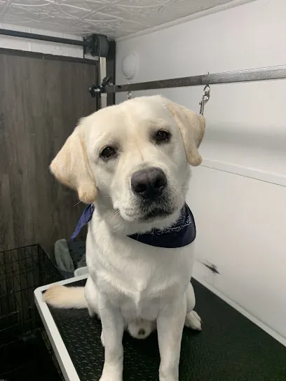 The Wild Hair Mobile Grooming Salon — photo from their website