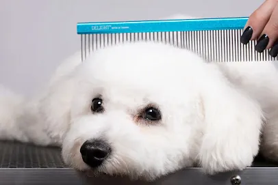 Little Munchkins Mobile Pet Grooming — photo from their website