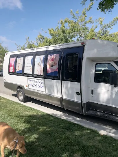 Blueberry Mobile Pet Spa — photo from their website