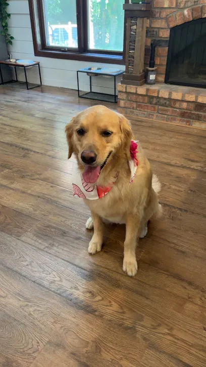 Ladybug Mobile Pet Grooming — photo from their website