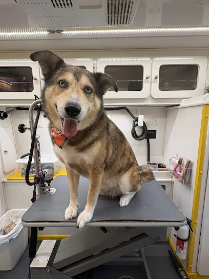 FurFresh Mobile Grooming Houston — photo from their website