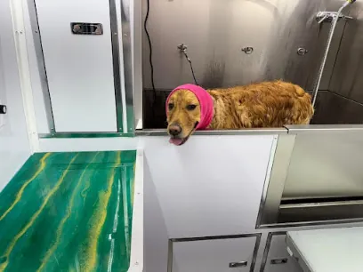 Paws On Time Mobile Grooming — photo from their website