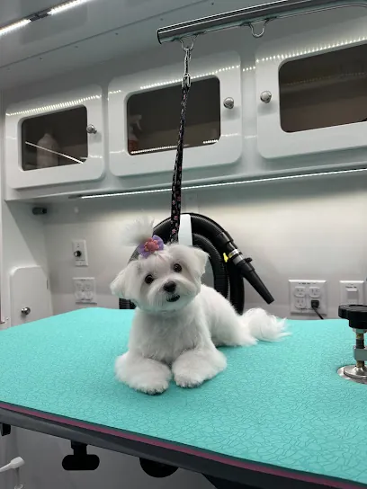 Luxetail Mobile Grooming — photo from their website