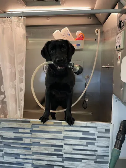 Fetch & Fluff Mobile Grooming — photo from their website