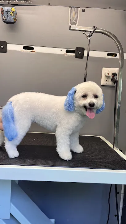 Glamour paws grooming pet mobile — photo from their website