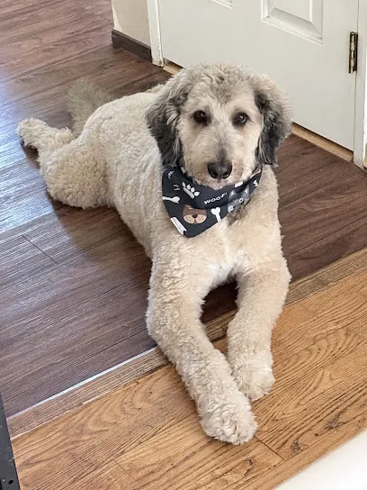 Pawfection Mobile Spa — photo from their website