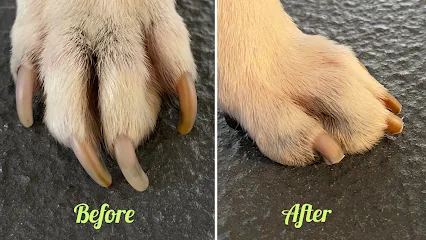 HouseCall Pawdicures — photo from their website