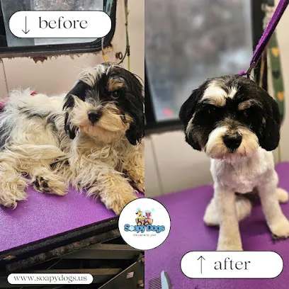 Soapy Dogs Mobile Grooming — photo from their website