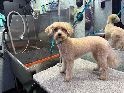 Petite Paws Mobile Spa — photo from their website