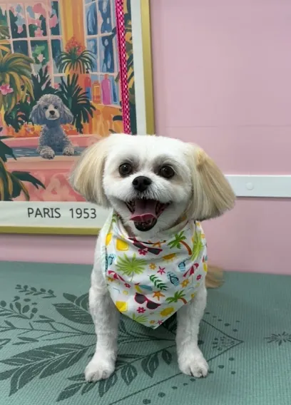 Brush & Bubbles Mobile Grooming — photo from their website
