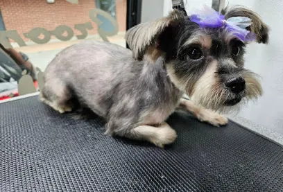 Scoobie's We Do Express pet grooming salon and mobile service — photo from their website
