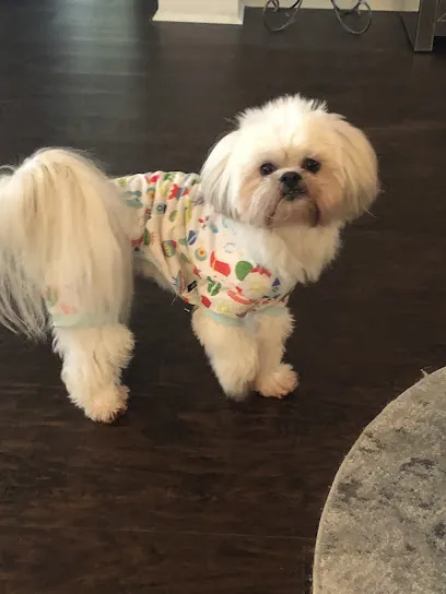 Bark and Brushes Mobile Grooming — photo from their website