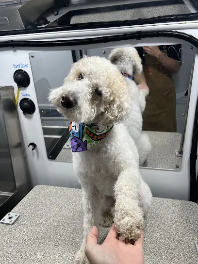 Soapy Tails Mobile Dog Bathing — photo from their website