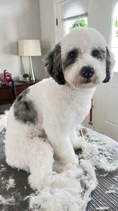 PAWfect ImPURRfections In Home Grooming — photo from their website
