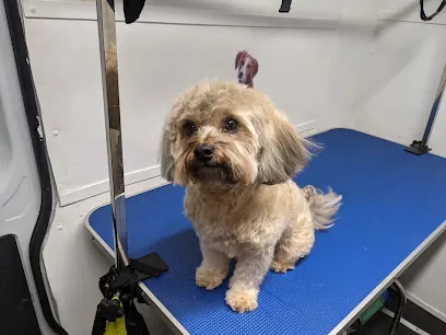 Odalys Mobile Grooming Corp — photo from their website