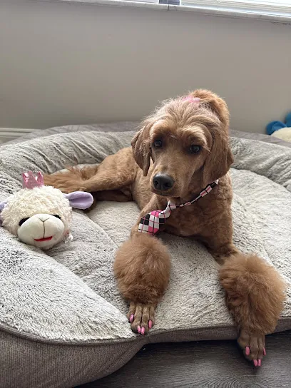 The Art of Paws Mobile Pet Grooming — photo from their website