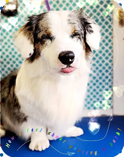 Melissa Grange Mobile Grooming — photo from their website